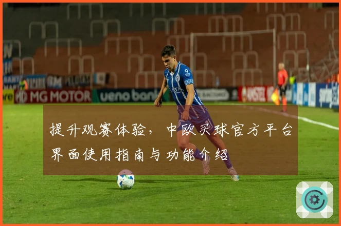 提升观赛体验，中欧买球官方平台界面使用指南与功能介绍