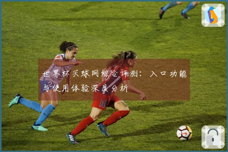 世界杯买球网综合评测：入口功能与使用体验深度分析