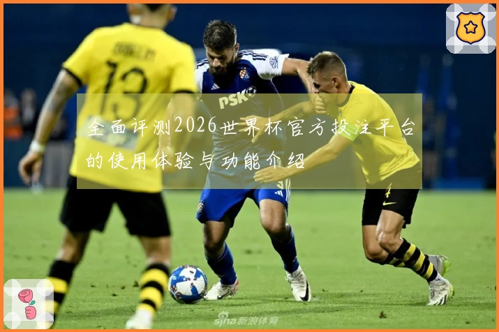 全面评测2026世界杯官方投注平台的使用体验与功能介绍