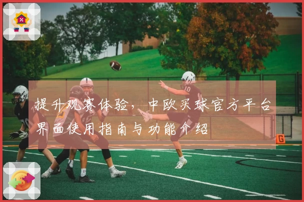提升观赛体验，中欧买球官方平台界面使用指南与功能介绍